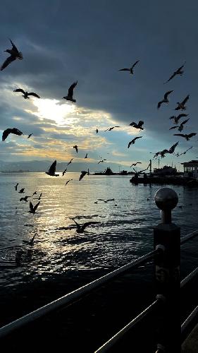Maltepe